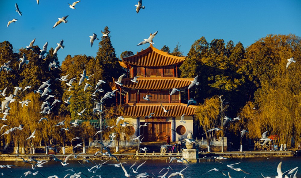 大观公园
