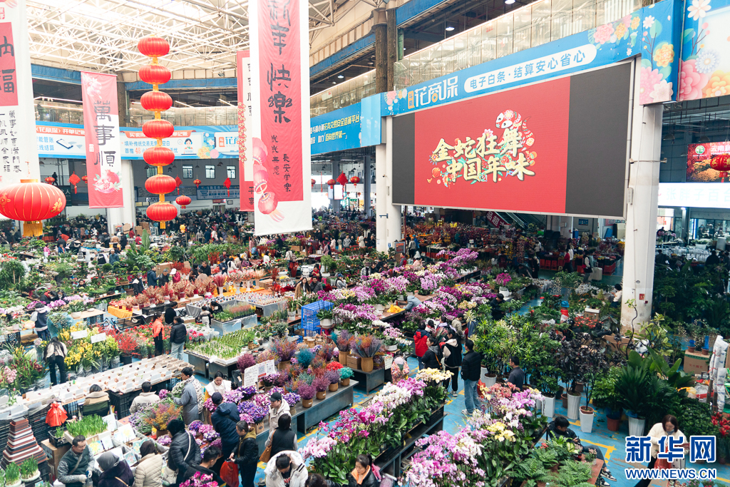 斗南花市